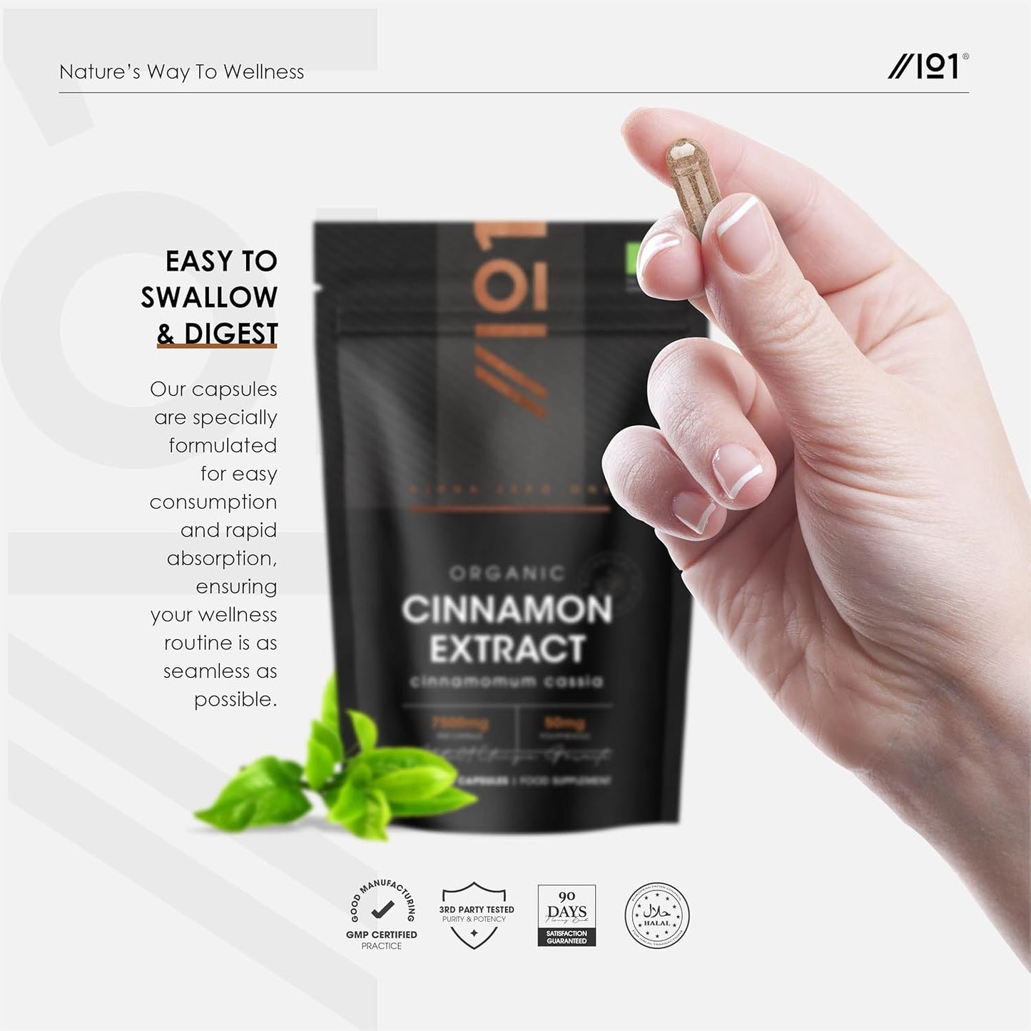 Organic Cinnamon Extract 7500Mg - 10% Polyphenols High Strength Cinnamon Supplement - 90 Vegan Capsules (3 Months Supply) - Resealable and Recyclable Pouch by